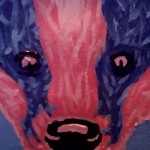 Badger in Pink and Blue